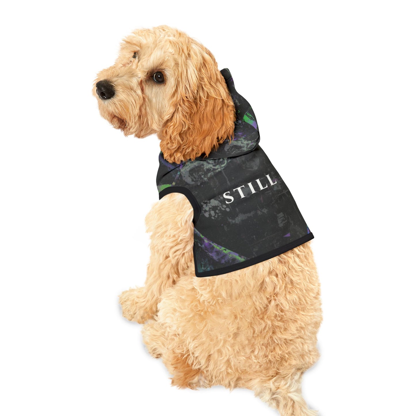 Dog wearing STILL flow typography hoodie in minimalist style