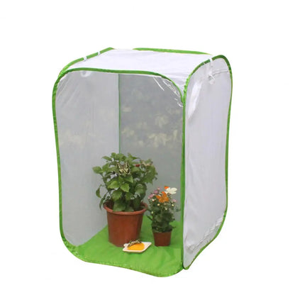 sniffwagglenwalk™ Butterfly Net shielding your beloved plants from curious pets. - Sniff Waggle And Walk