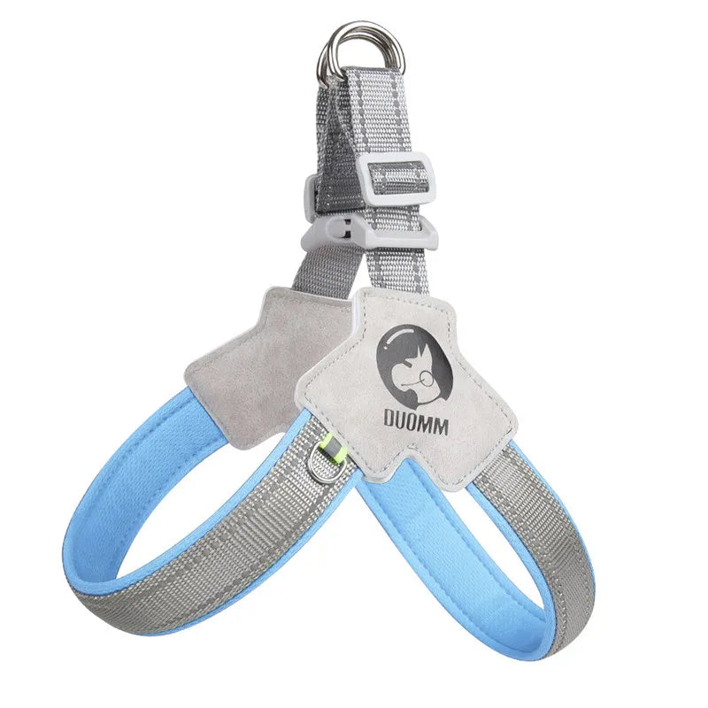 White French Bulldog wearing ReflexFit reflective dog harness on walk showing full colour range blue red yellow and black