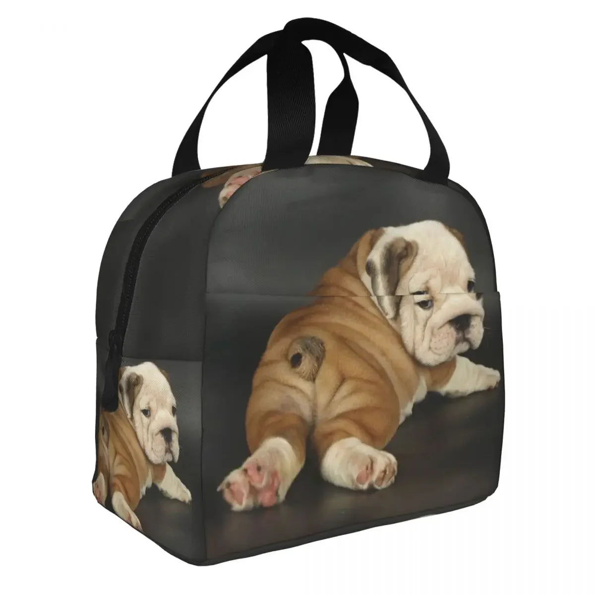 English bulldog lunch bag design option — one of 14 funny bulldog designs available from SniffWaggleNWalk