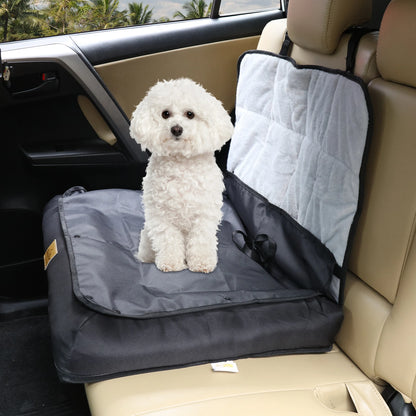 dog car seat safety tether attached to harness