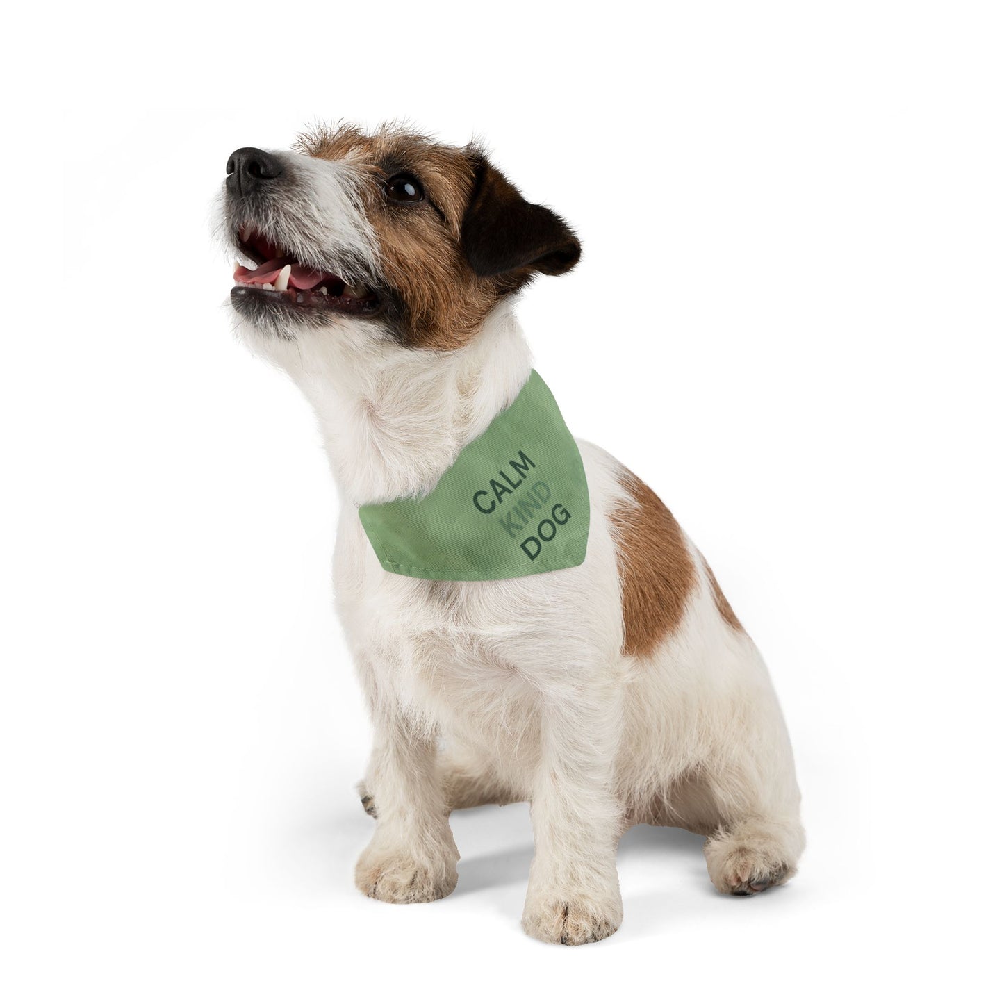 Close-up hemmed edge dog bandana