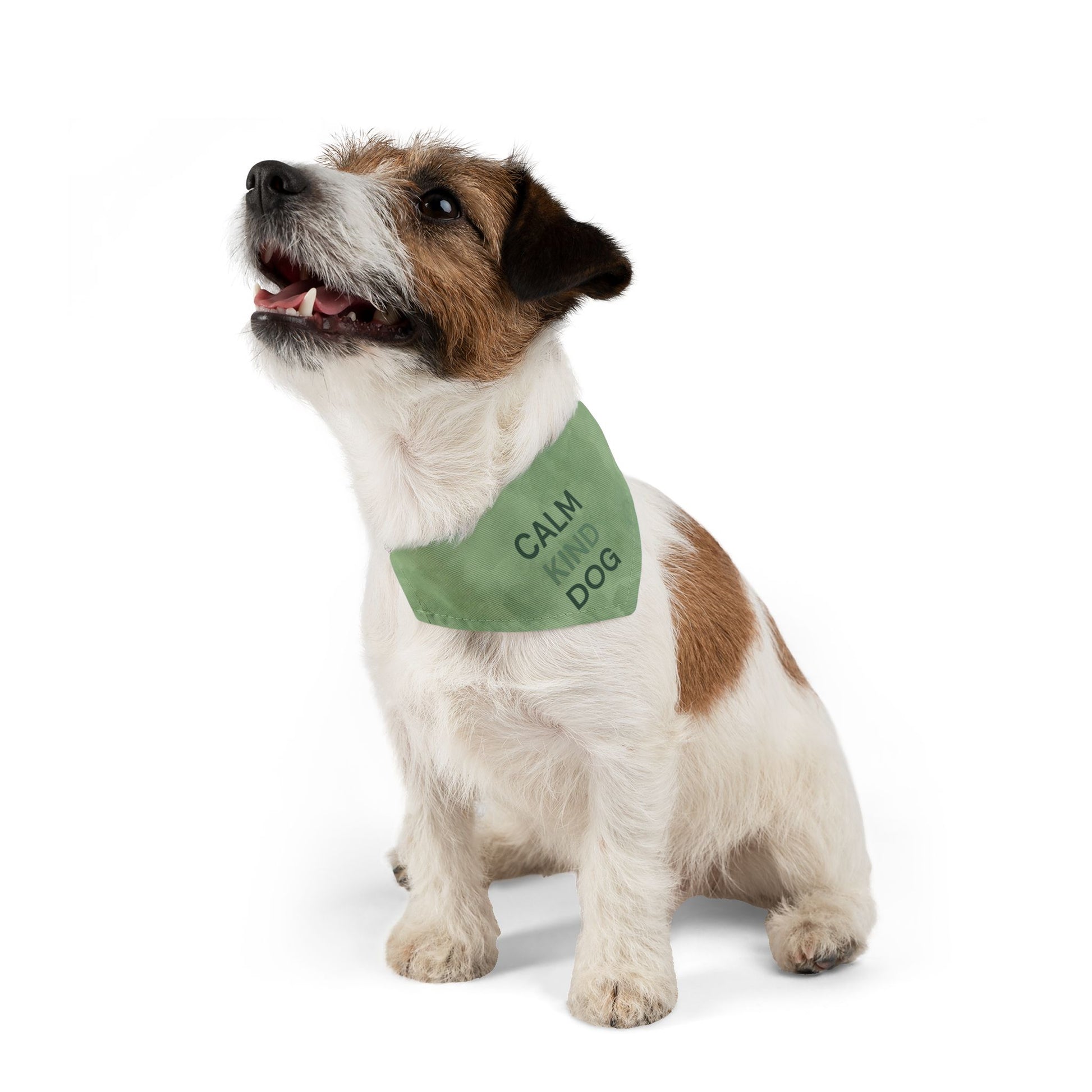 Close-up hemmed edge dog bandana