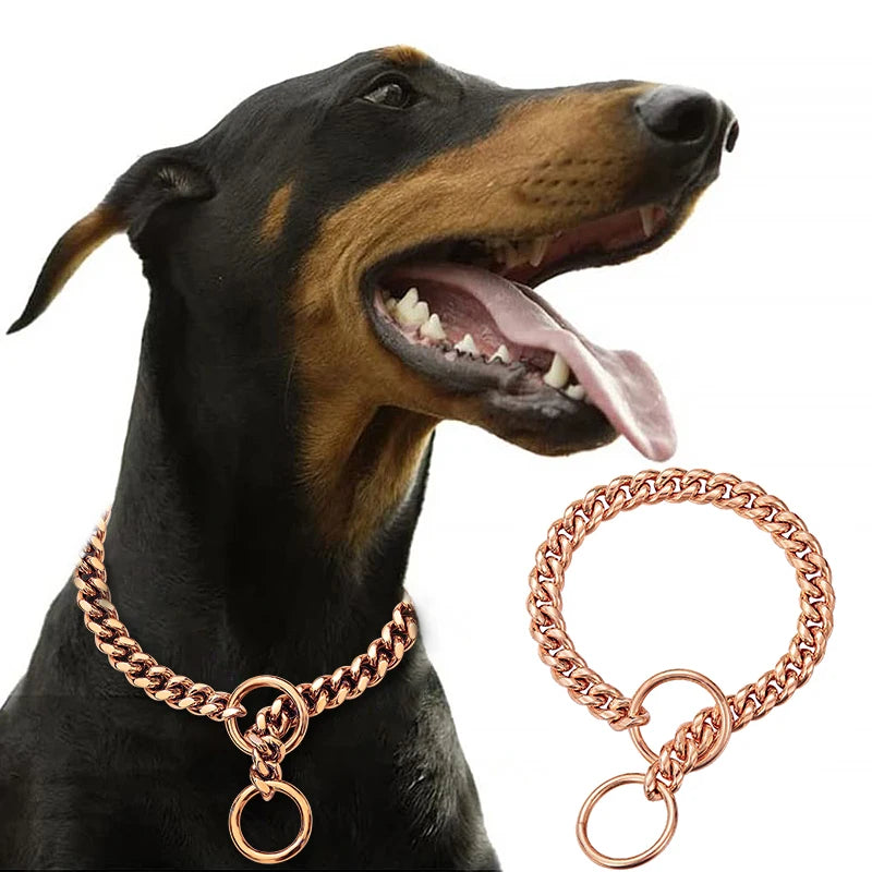 CubanLink™ gold Cuban link chain dog collar on Dobermann in park — SniffWaggleNWalk