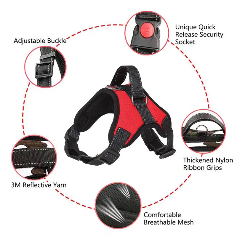 Reflective Adjustable Harness by SniffWaggle'n'Walk™ - Sniff Waggle And Walk