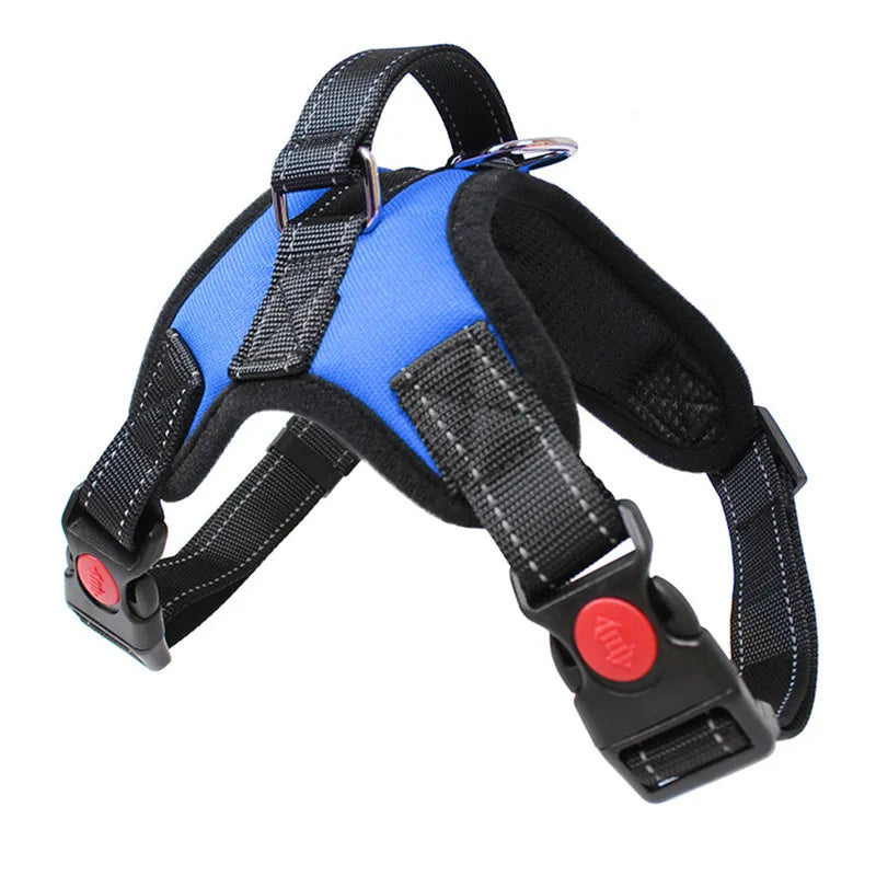 StrideGuard™ inner breathable mesh lining — soft against dog's body for comfort on longer walks