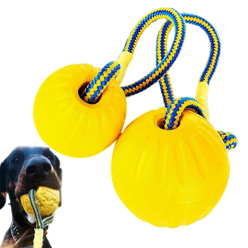 Sniffwagglendwalk® Indestructible ball on a rope. - Sniff Waggle And Walk