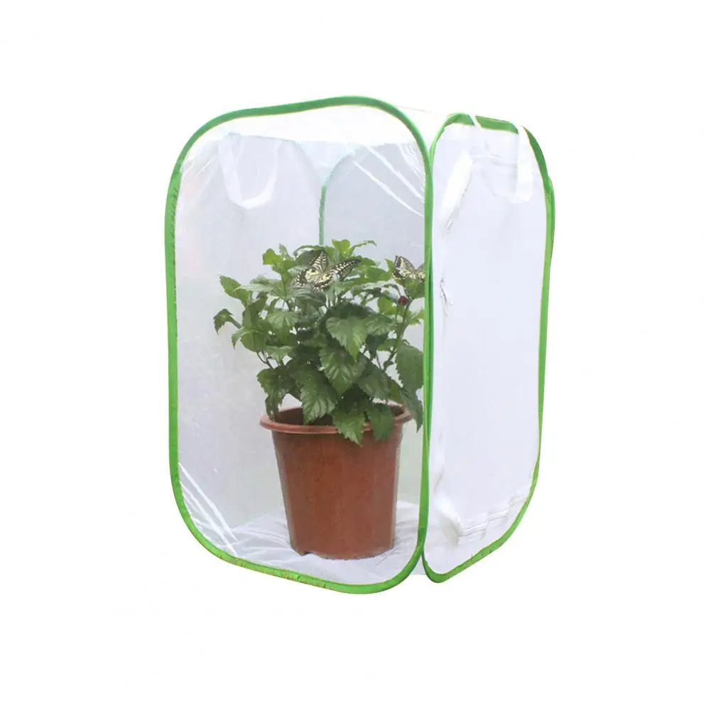 sniffwagglenwalk™ Butterfly Net shielding your beloved plants from curious pets. - Sniff Waggle And Walk