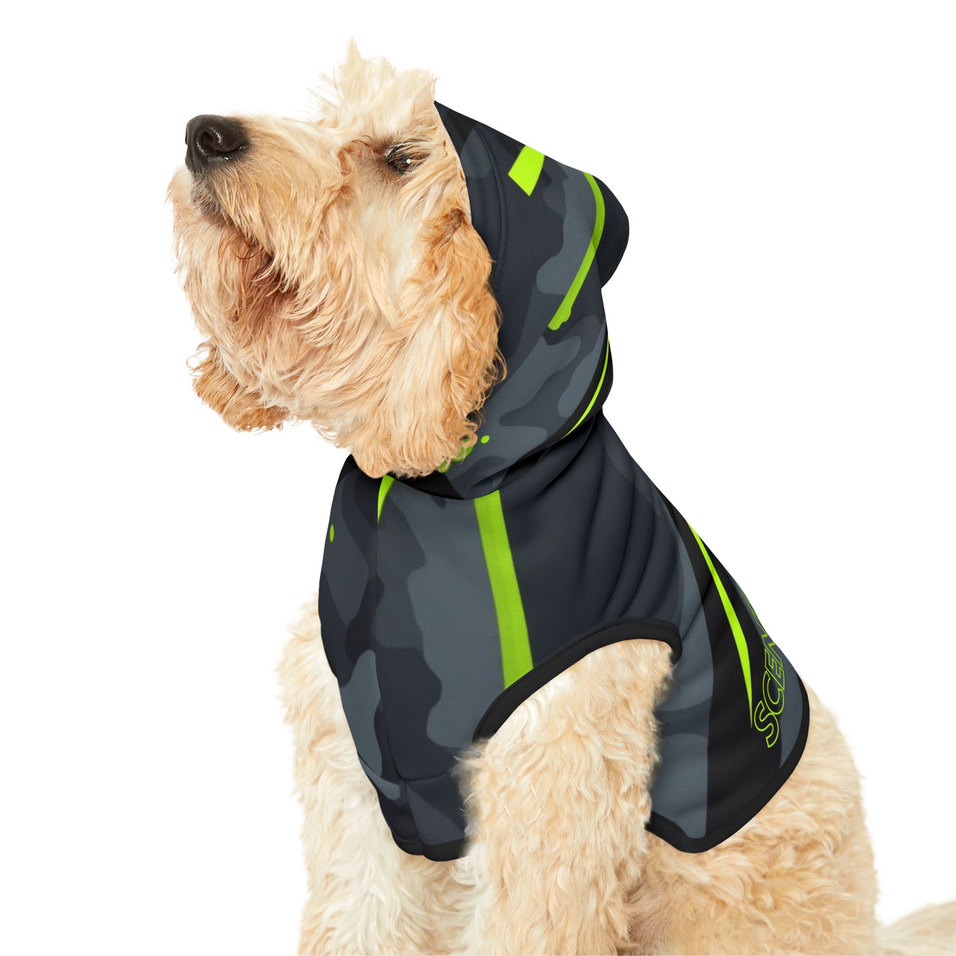 Back view of Scene Stealer dog hoodie with bold streetwear text design