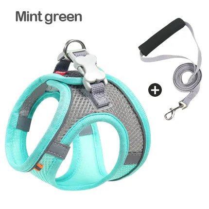 AirStride™ breathable mesh harness in mint green — open-weave panels for airflow on warm days