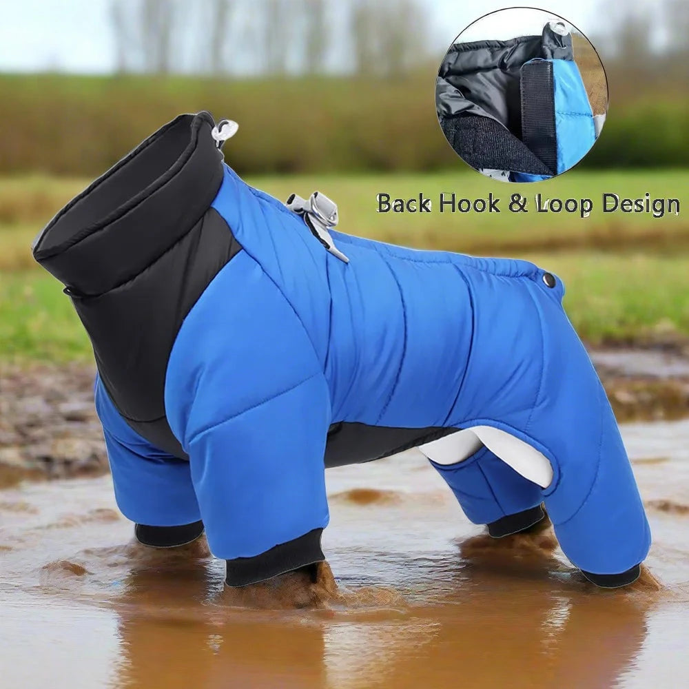 Sniffwagglendwalk® Winter Warm Dog Jacket Waterproof. - Sniff Waggle And Walk