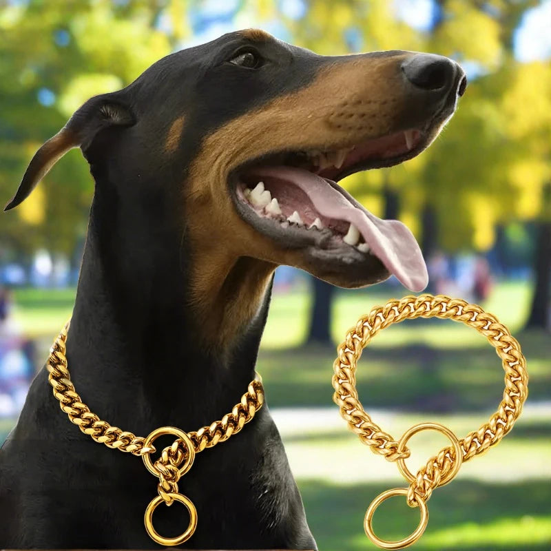 SniffWaggleNWalk CubanLink™ rose gold Cuban link chain dog collar on Dobermann