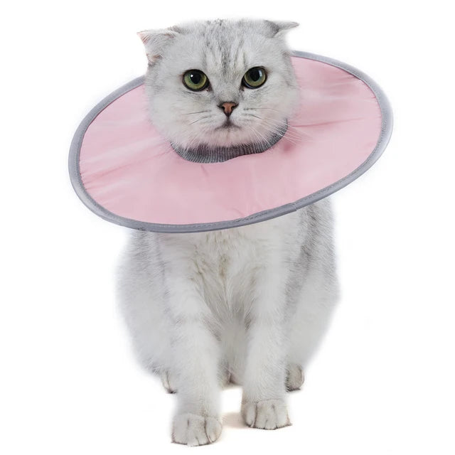SniffWaggleNWalk soft recovery collar