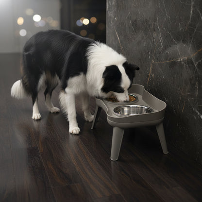 Older Labrador eating from SuperDesign elevated dog feeder at comfortable chest height