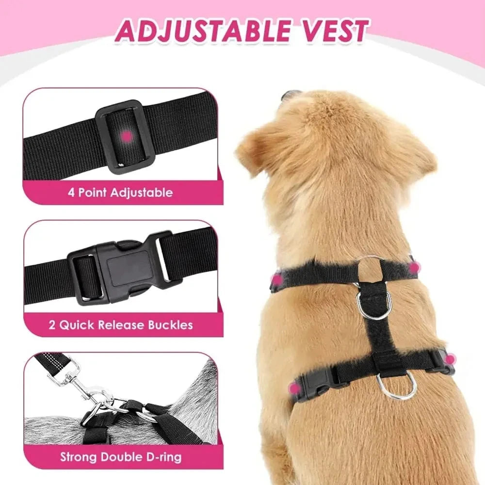 SniffWaggleNWalk adjustable dog car harness on a medium dog