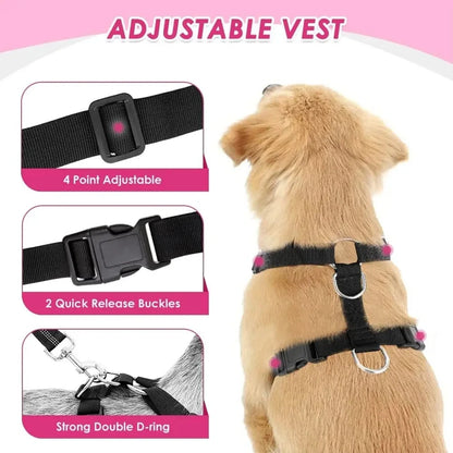SniffWaggleNWalk adjustable dog car harness on a medium dog