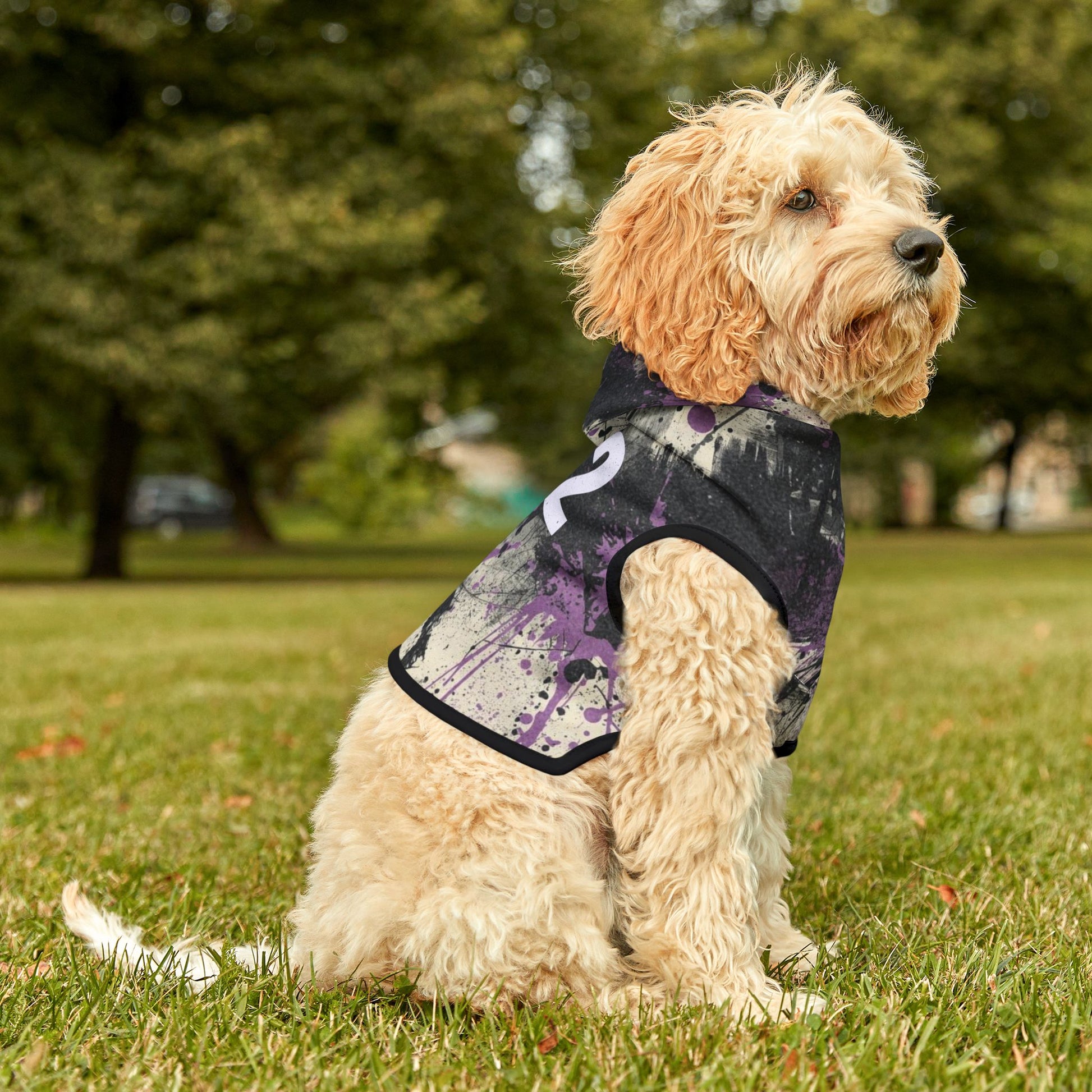 modern dog hoodie for evening walks