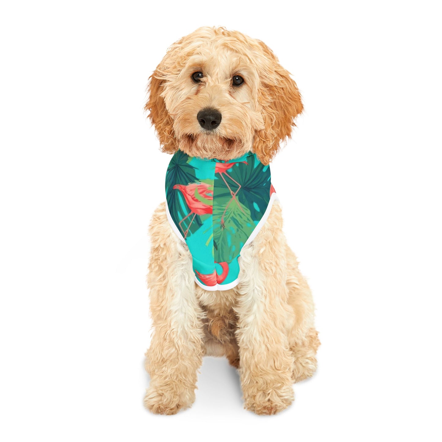 Signal Point tropical alignment hoodie styled on pet