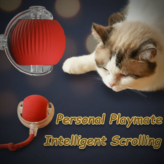 Rechargeable Cat Toy Ball