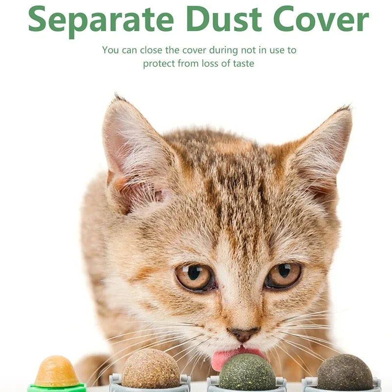 cat reacting to silvervine stimulation toy