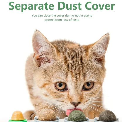 cat reacting to silvervine stimulation toy