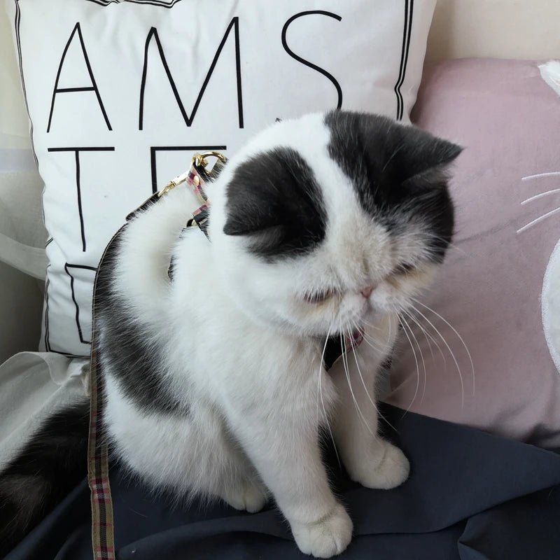 Small dog plaid walking harness and leash combination