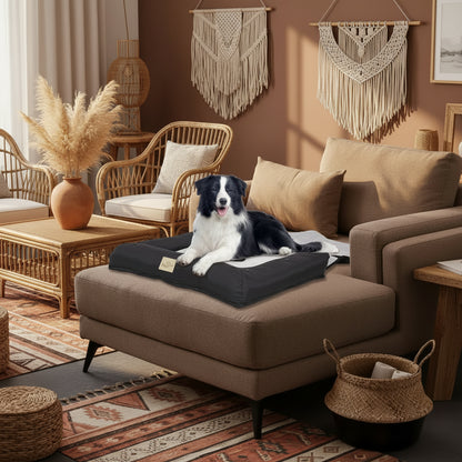 dog car seat bed size comparison small medium large
