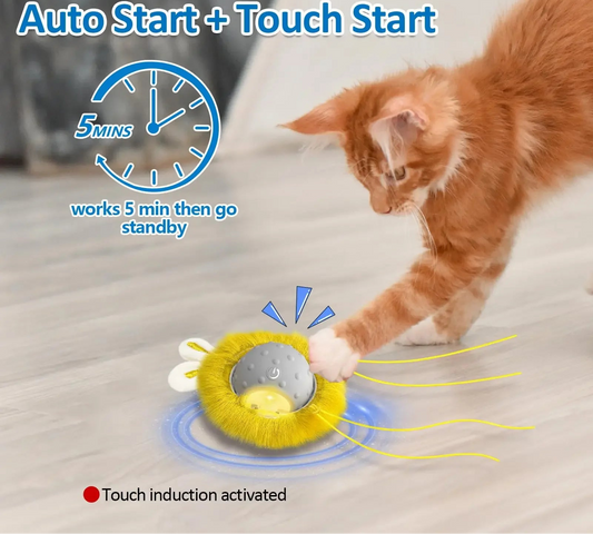 Cat playing with a toy that has text about auto start and touch start features.