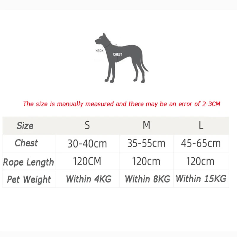 Chihuahua wearing plaid British style harness and leash