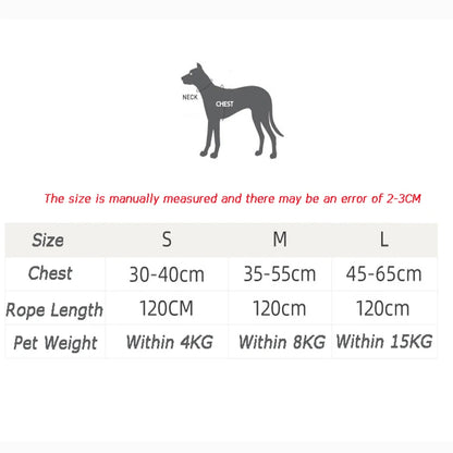 Chihuahua wearing plaid British style harness and leash