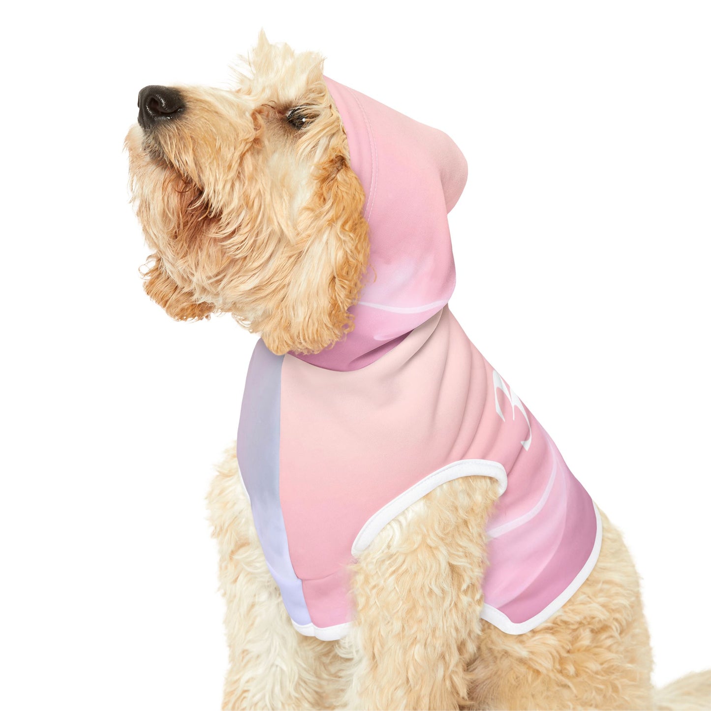 Soft pastel gradient spiritual hoodie for dogs and cats