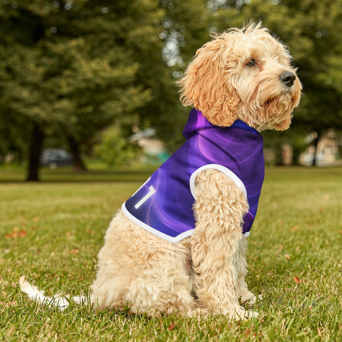 Soft polyester dog hoodie featuring a glowing 11:11 angel number print