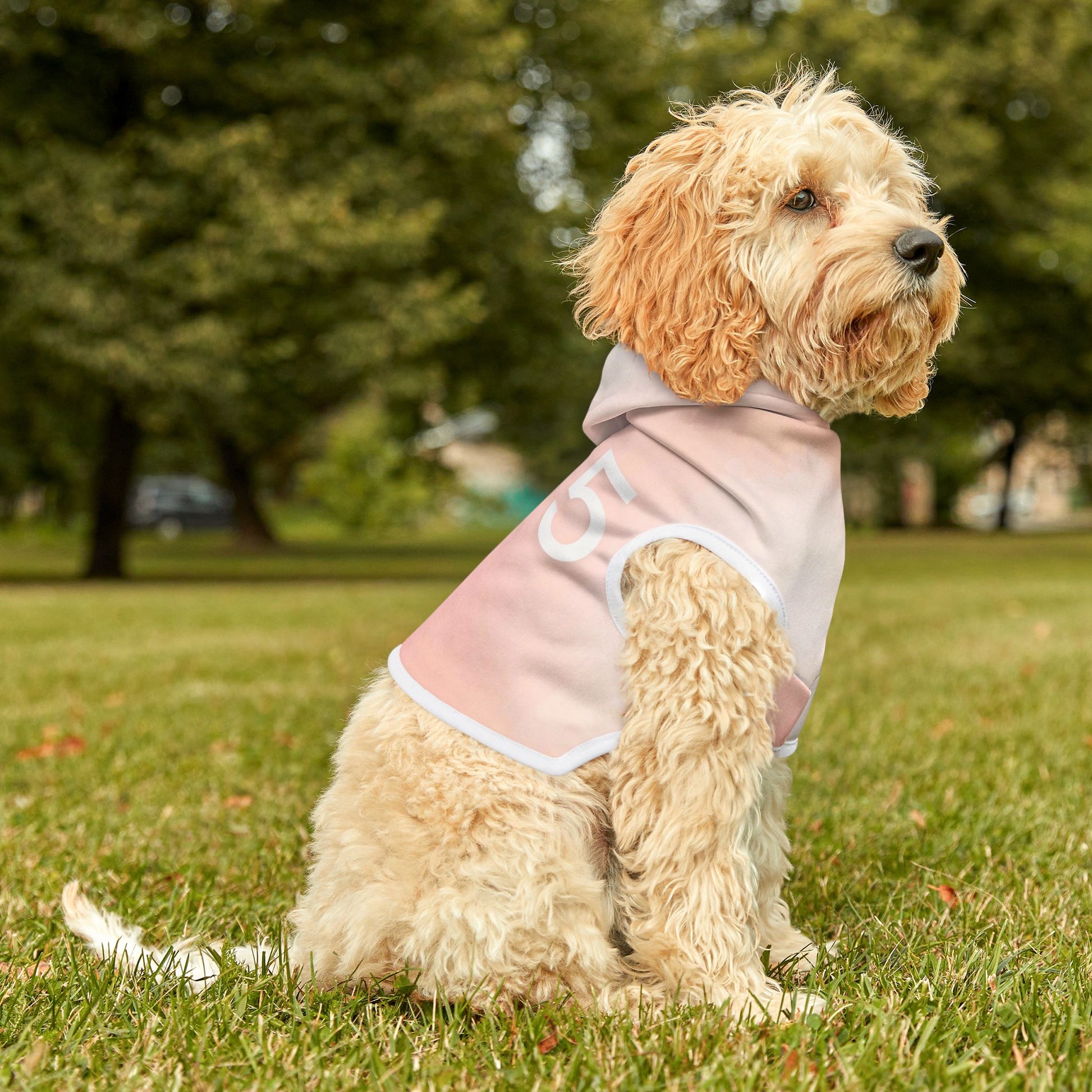 close-up of soft polyester pet hoodie angel number