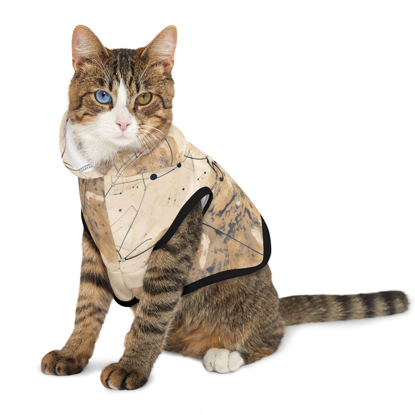 Angel number 555 dog hoodie symbolising change and movement