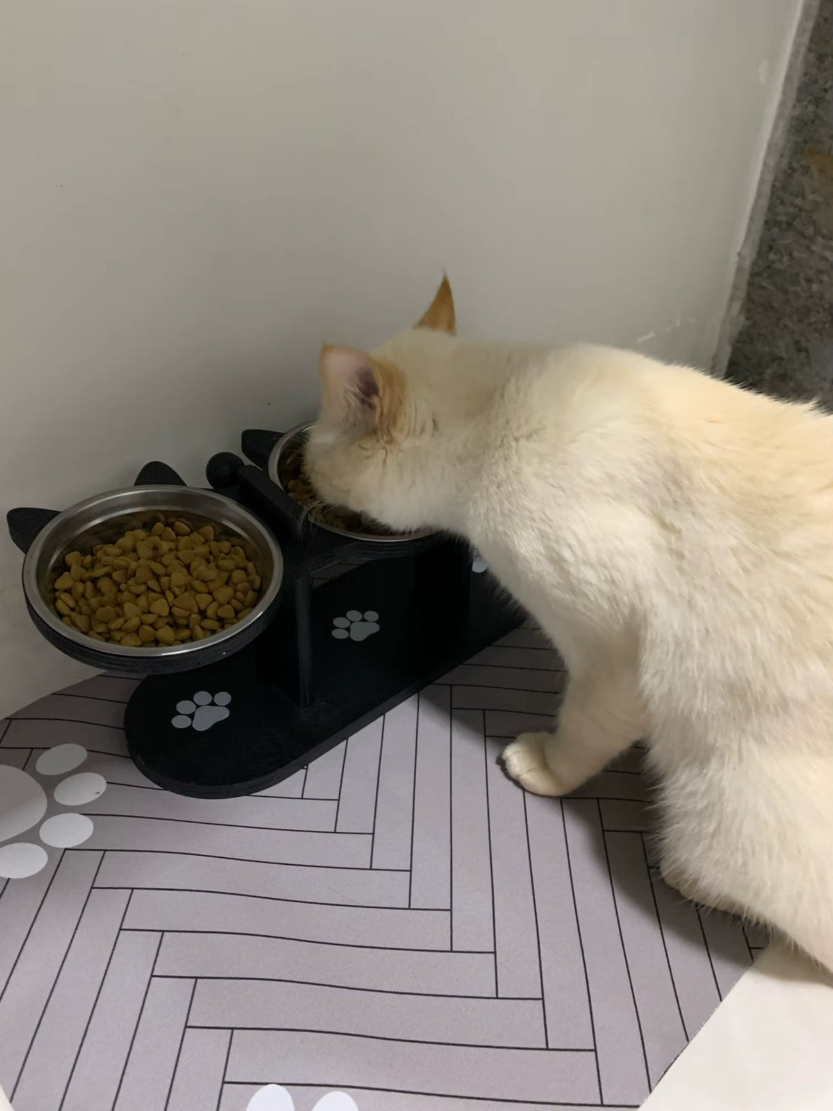 Cat eating from a bowl on a pet feeder with a white wall and floor in the background