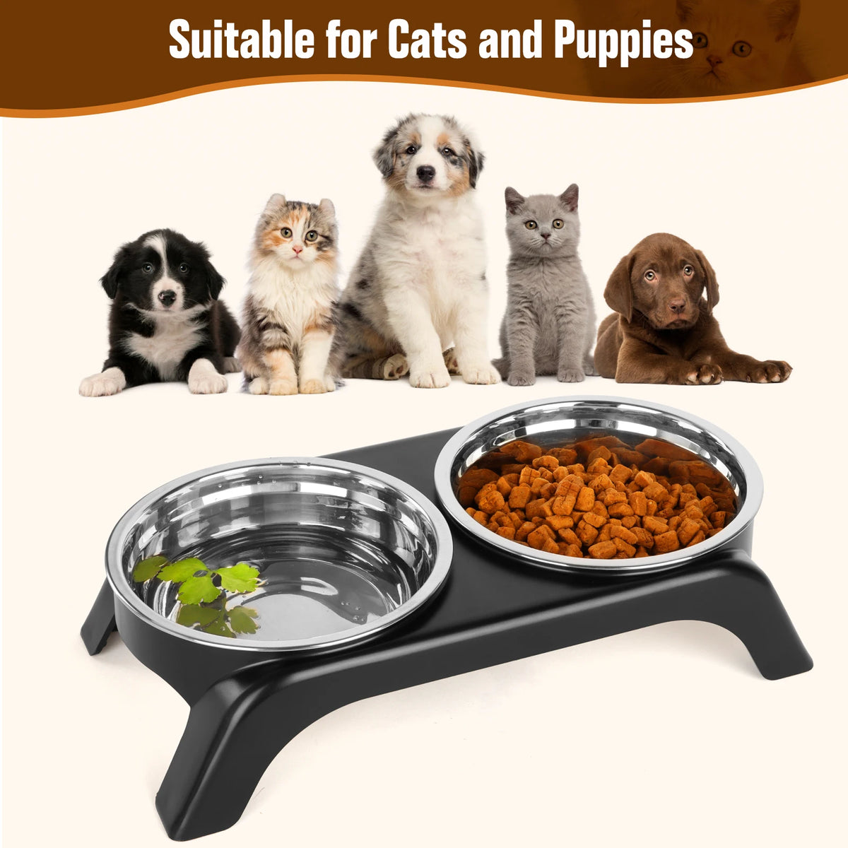 Pet feeding station with two bowls, one with water and the other with food, surrounded by cats and dogs.