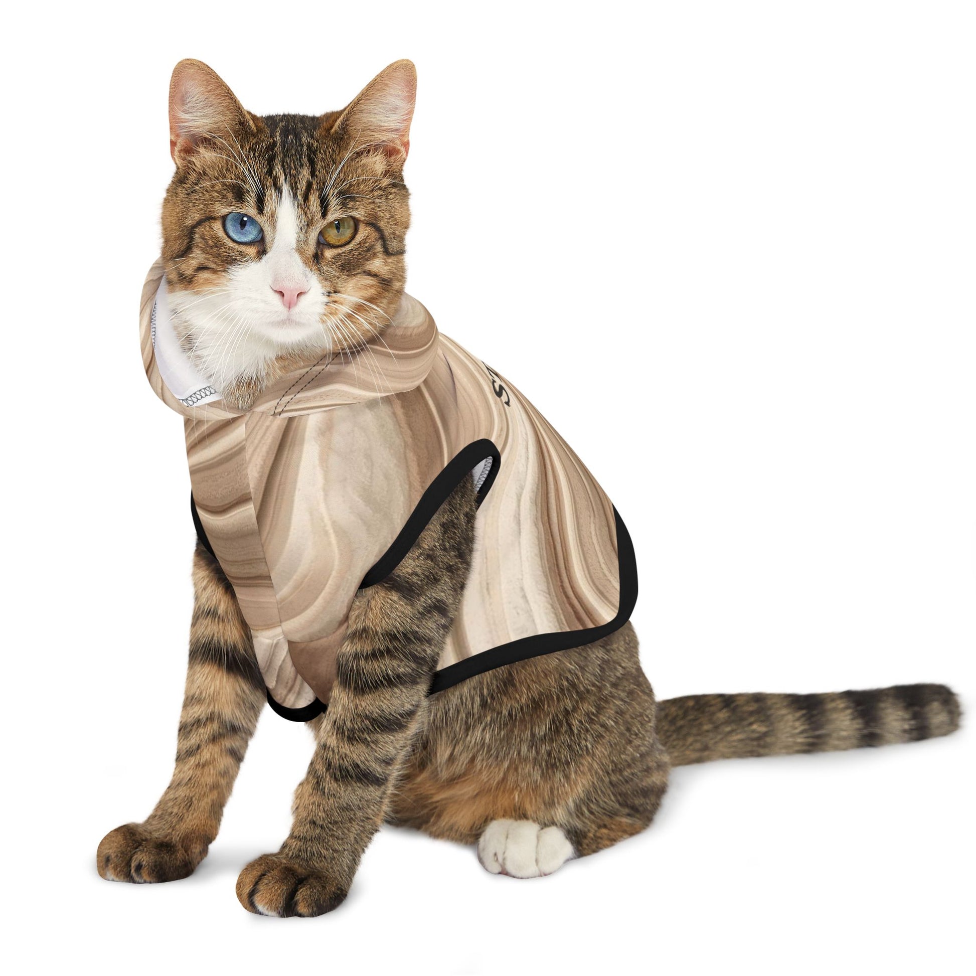 Lifestyle view of STILL everyday pet hoodie indoors