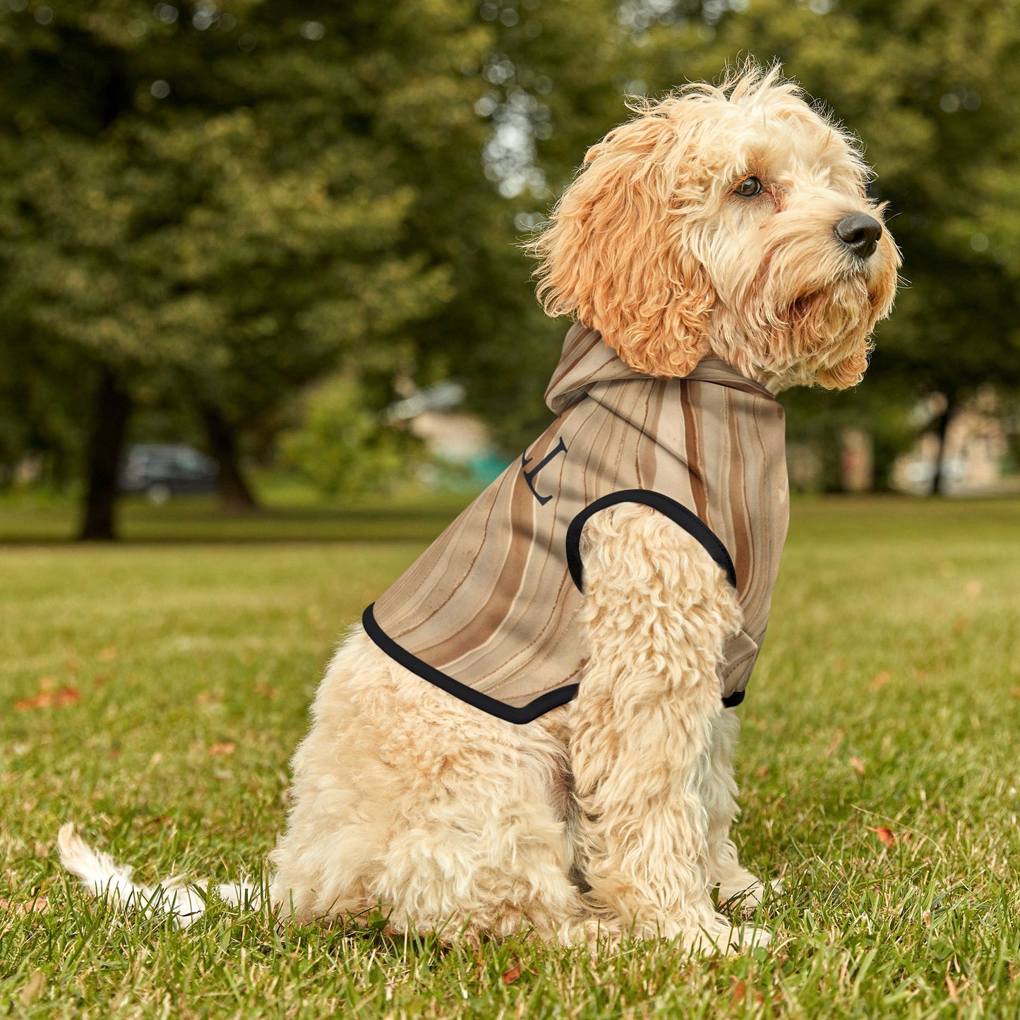 premium minimalist dog hoodie from calm collection