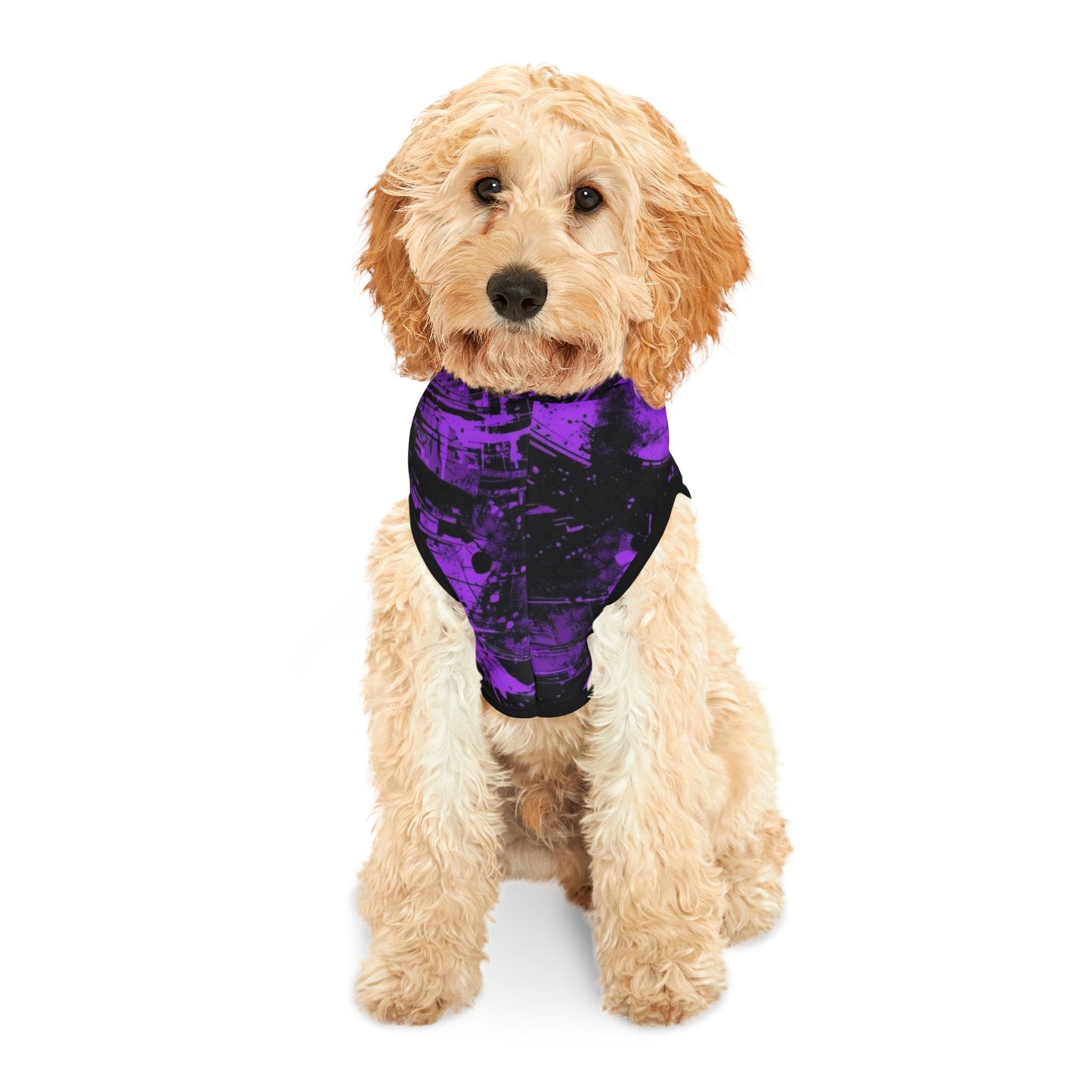 Dog relaxing indoors wearing violet guardian hoodie