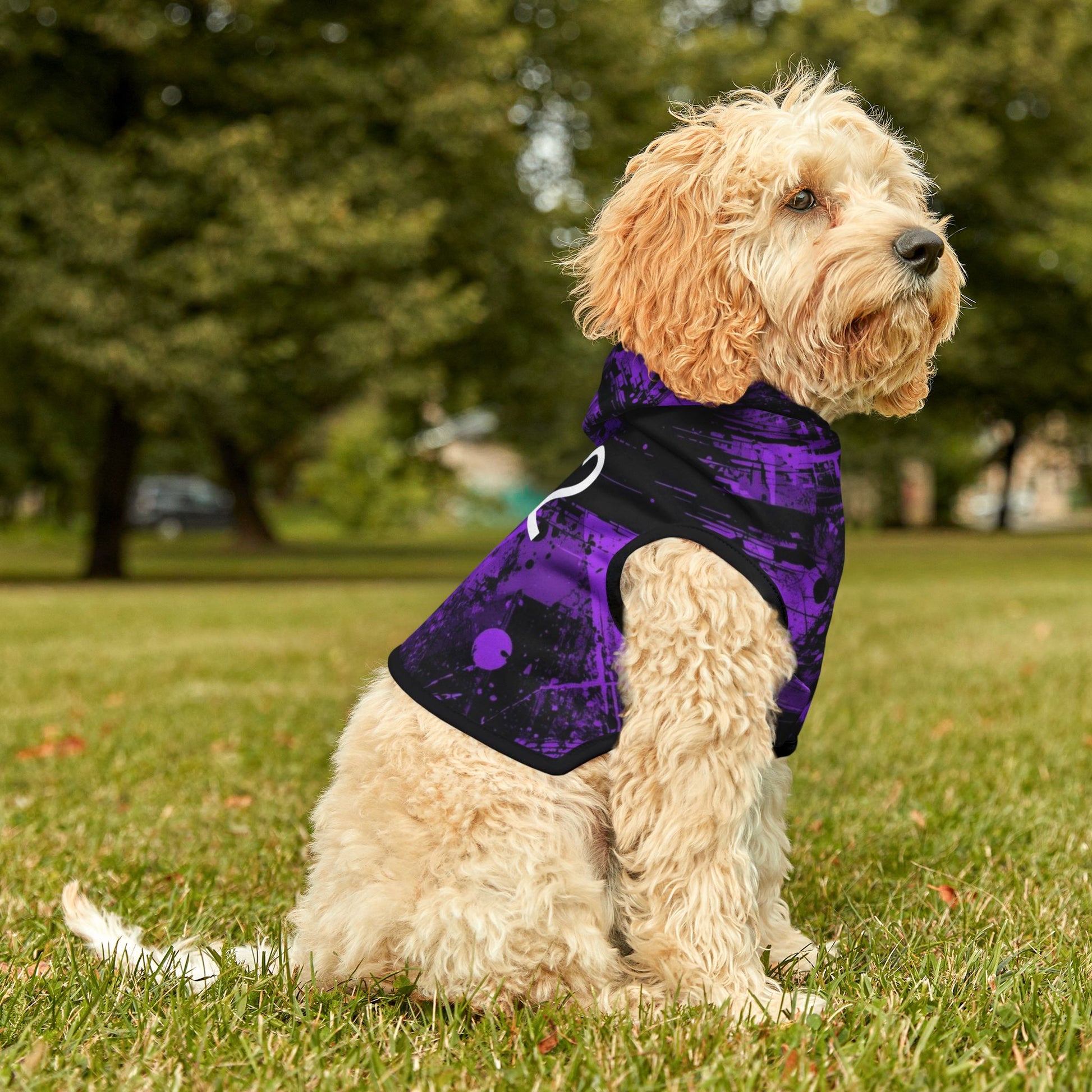 Violet Urban Pet Hoodie Lifestyle Image