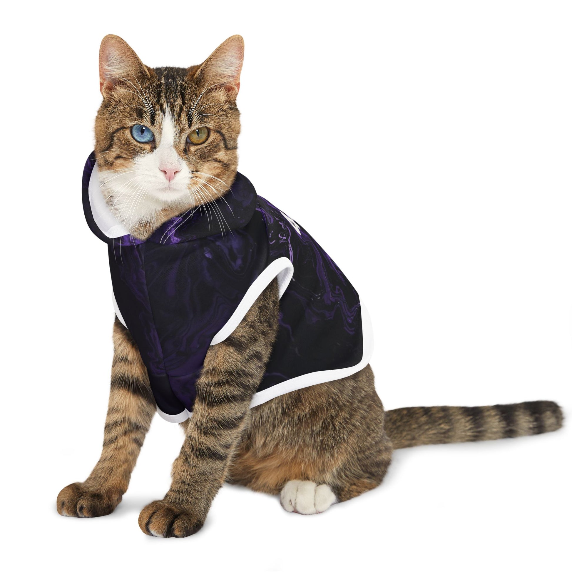 Violet Aura Pet Hoodie Lifestyle Image