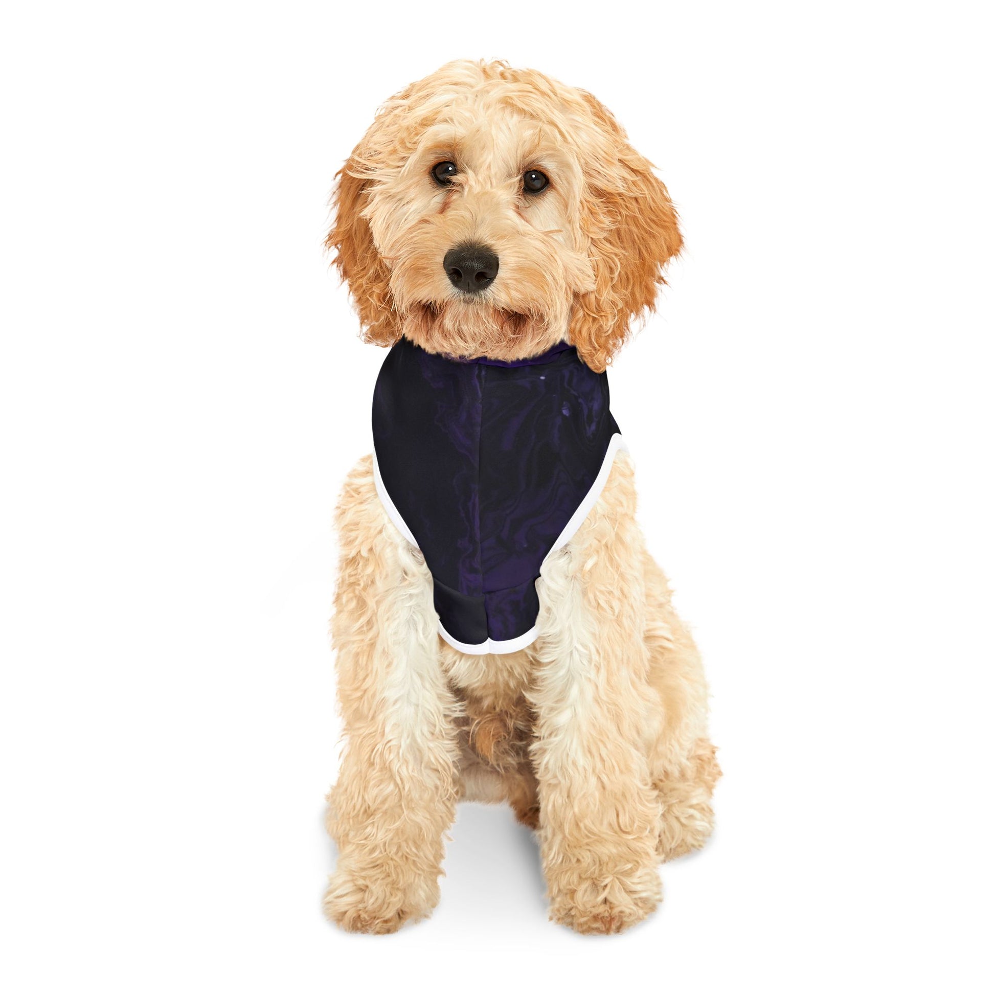 Dog relaxing indoors wearing violet aura hoodie