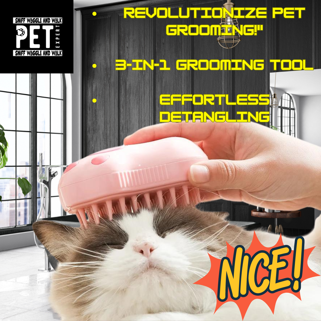 PawSteam Electric Spa Massage Brush — rechargeable with warm mist function