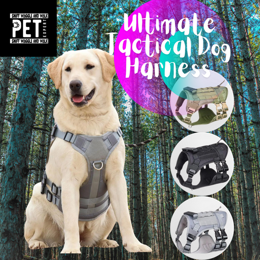 Tactical Dog Harness Sniffwaggleandwalk™