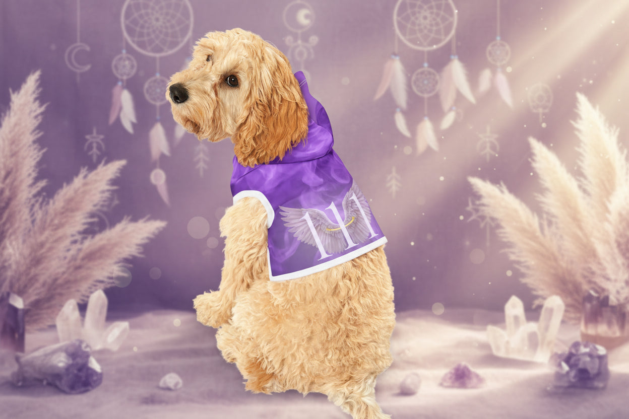 Angel wing print detail on dog hoodie