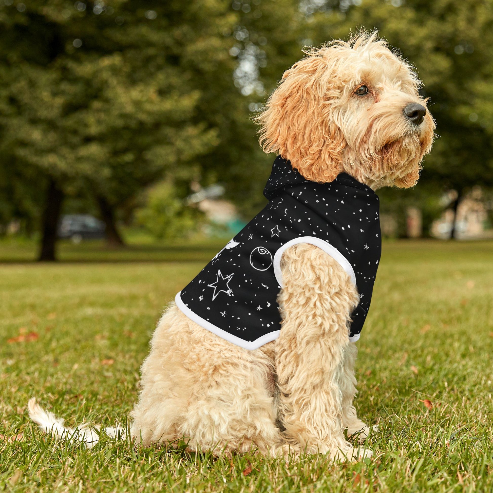 Dog wearing a black jacket with white accents sitting on grass