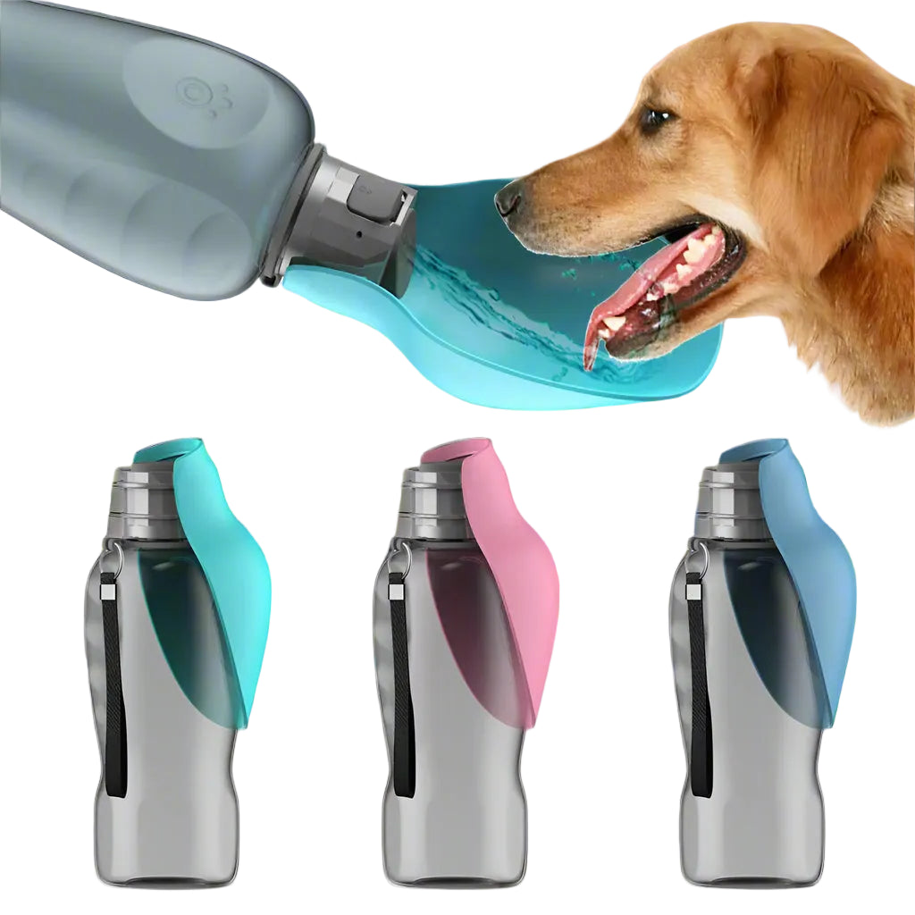 Three colour variants of the PawTrail dog travel water bottle — teal, pink, and blue lined up against a park background.