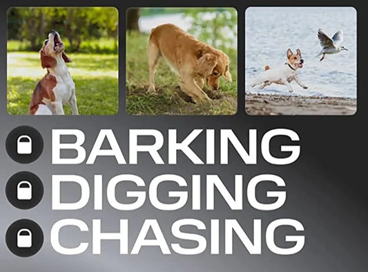 barking stop Anti Barking Device. - Sniff Waggle And Walk