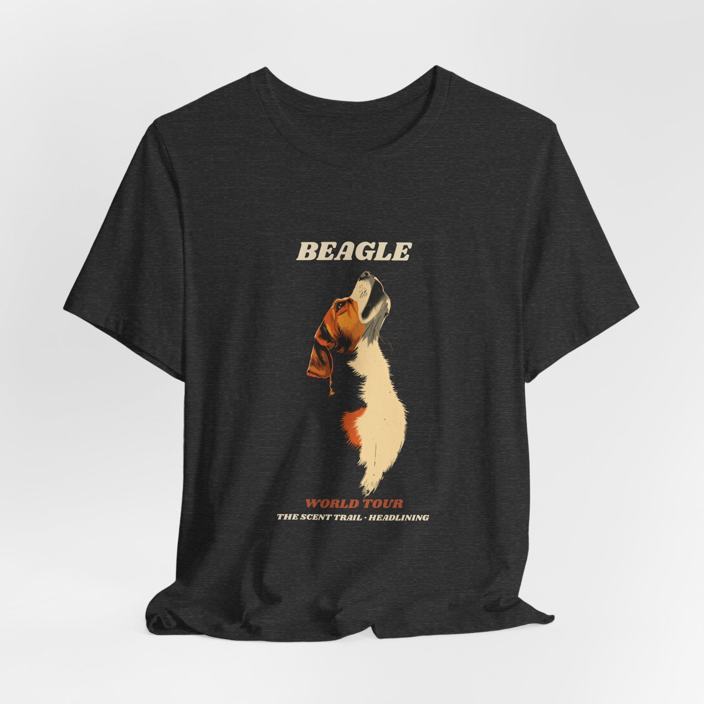 Beagle World Tour vintage band t-shirt fabric texture