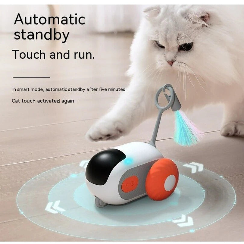  best cat toys